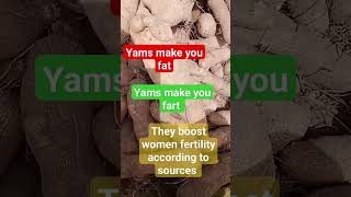 yam factsaboutyam yamharvest