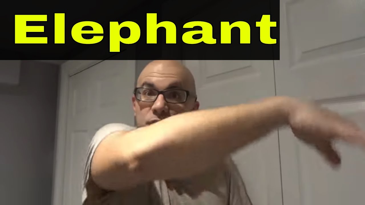 How To Make An Elephant Sound With Your Mouth-Tutorial - YouTube