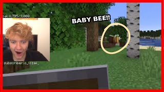 Tommyinnit loves Baby Bees 🐝 by DSMBee 3,479 views 1 year ago 24 seconds