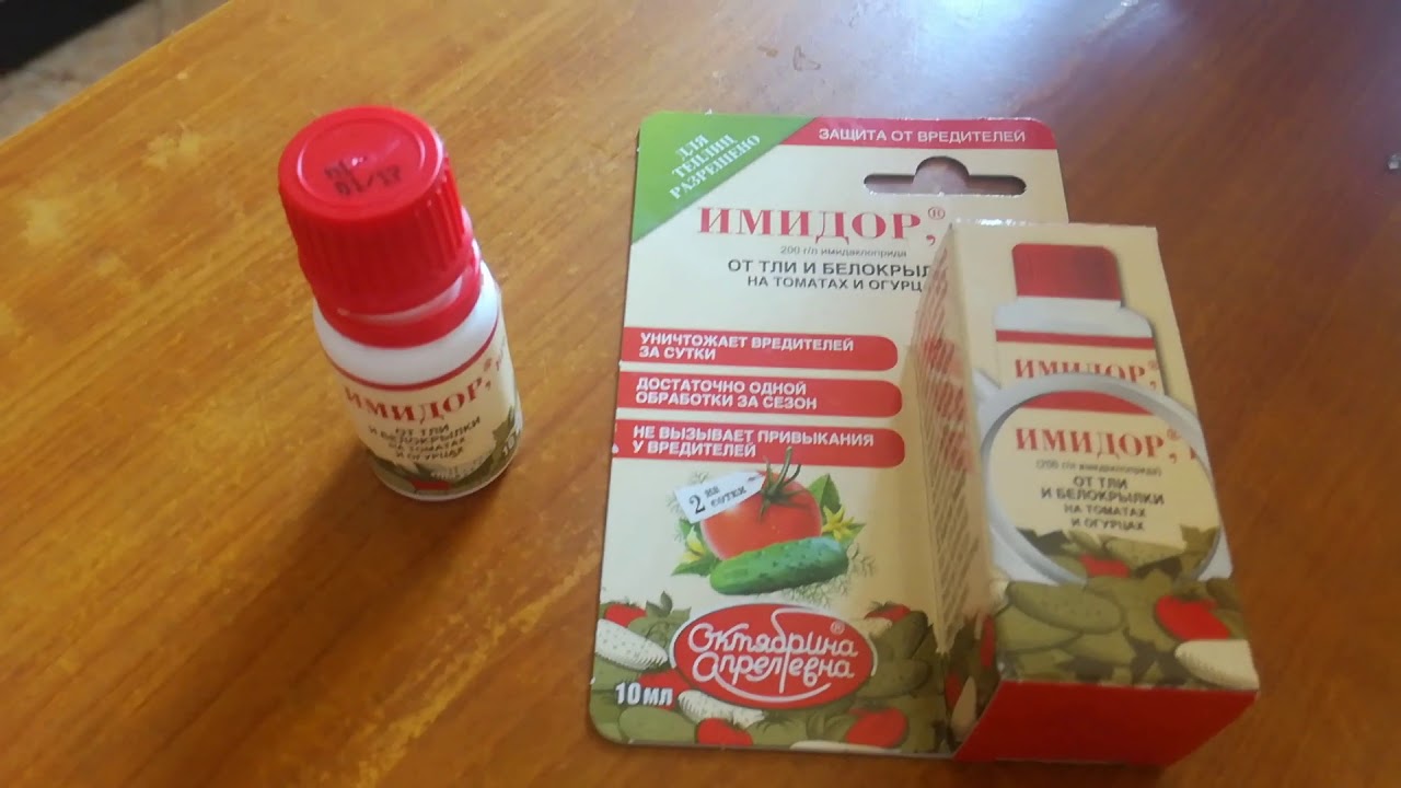 Зеленая тля, простой способ лечения растений. Насекомых убивает сразу. Имидор ВРК.