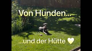 HUNDSTAGE 🐾 und eine Neuheit: Ausblick auf "DIE HÜTTE" 🌟 ❤️