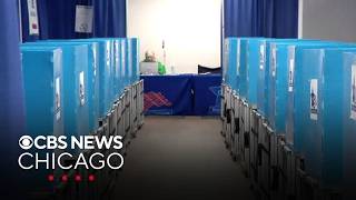 What are some of the referenda Illinois voters will see on their ballots on Election Day?