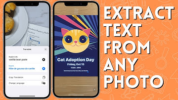 Copy Text From Pictures with Your iPhone in Seconds!