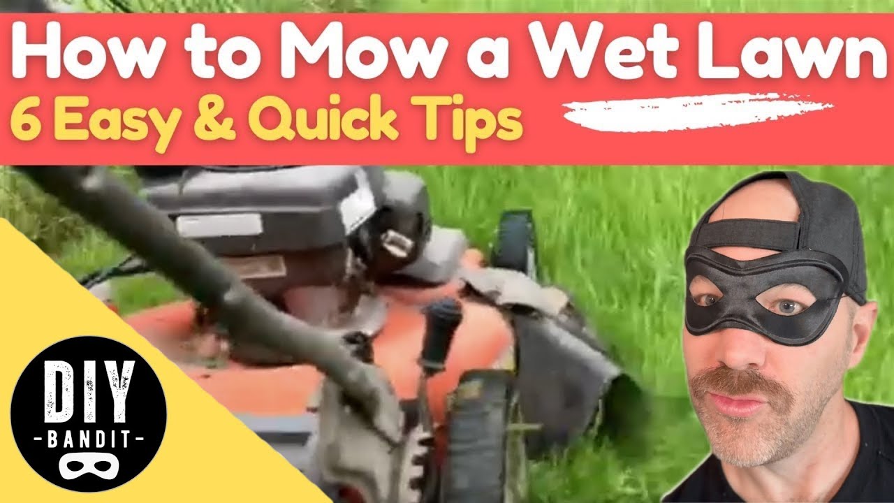 🍒 Should You Mow Your Lawn in the Rain? 6 Tips for Cutting Damp/Wet