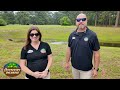 "Trees Give, We Grow" Event with Delaware Forest Service