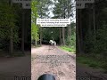 It’s not about controlling the horse… it’s about following their movement as an equine photographer