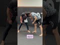 Judo Black Belt Teaches Wrestling #bjj #wrestling #judo #otherworldjiujitsu