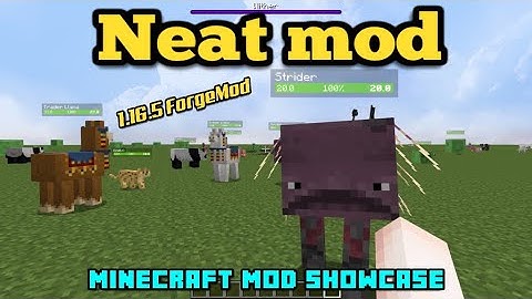 Minecraft 1.18.1 - Neat mod