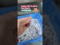 3-Lane Protein Powder Packaging Machine