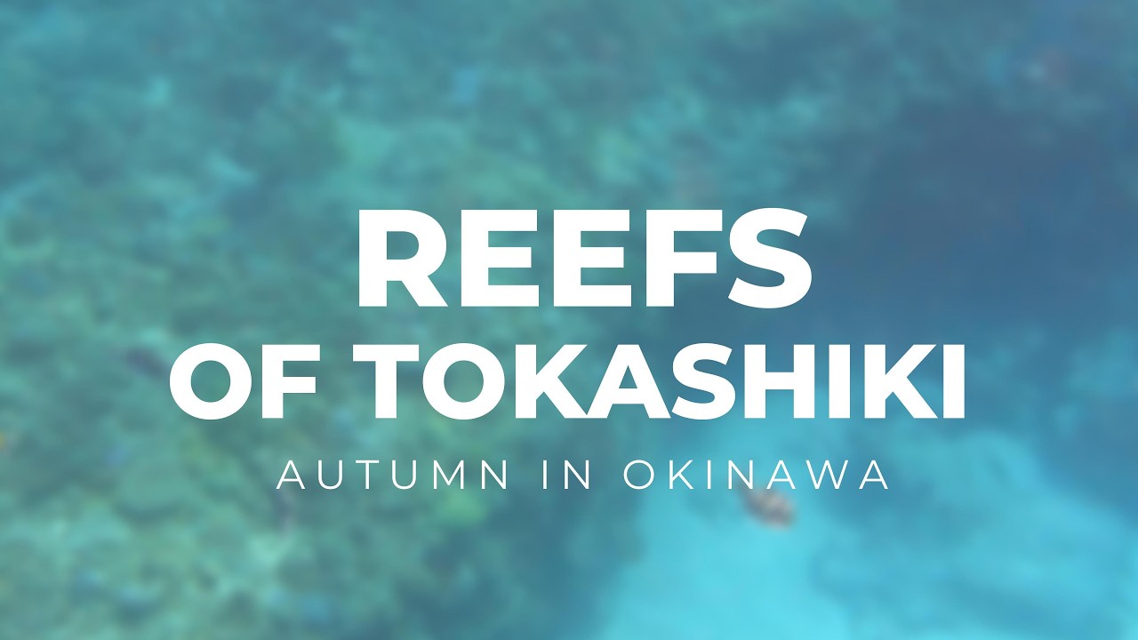Reefs of Tokashiki