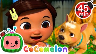 furry friends cocomelon kids learning songs sing along nursery rhymes
