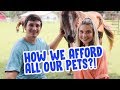 Q&A In My Horse Pasture! | NEW pets?! How I afford ALL MY PETS?! ATV Accident?!