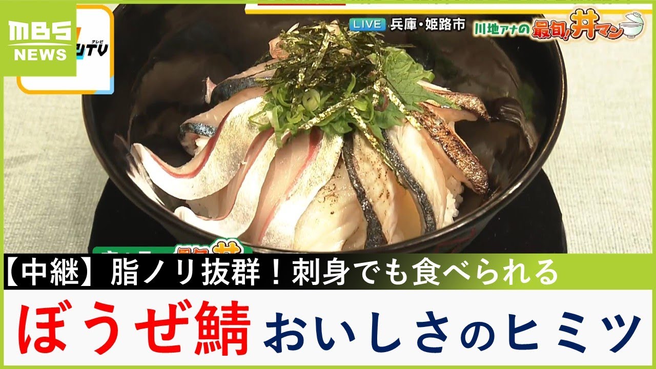 うま味＆脂ノリ抜群！ブランド鯖『ぼうぜ鯖』を刺身と炙りで絶品丼に！　「自称日本一です」おいしさのヒミツは？　兵庫・姫路市【川地洋平の最旬！丼マン】【現場から生中継】（2024年11月29日）