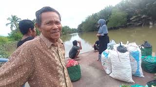 PASAR SAYUR KREMPYENG TRANSMIGRASI SP10 PINDAH DI DERMAGA