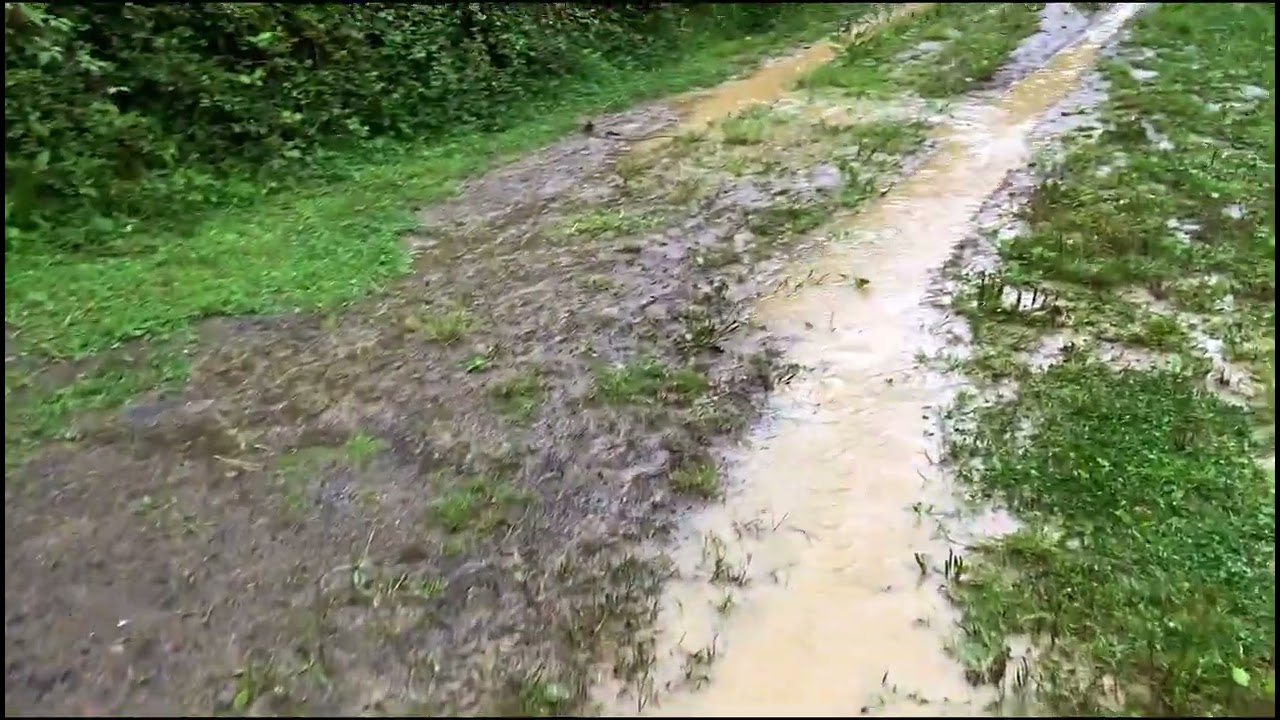 Txipli, txapla,  Andastora bidean!