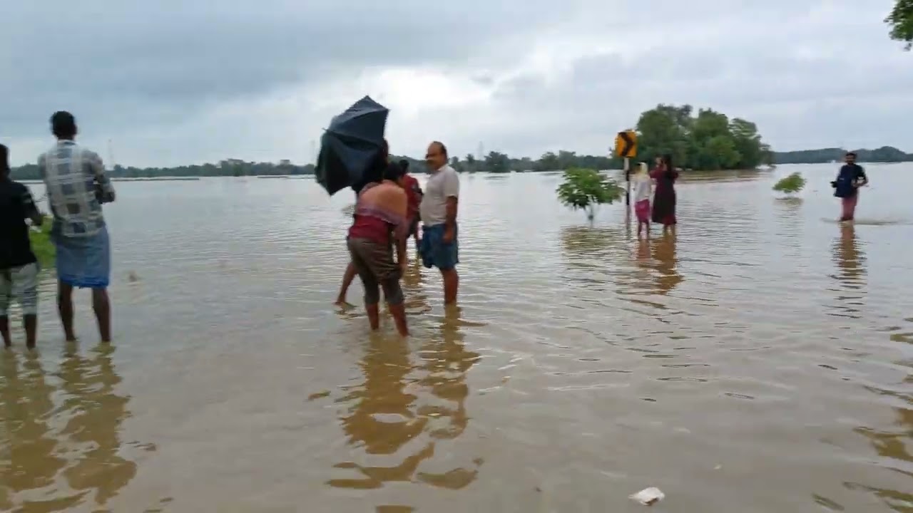 ২০২৫সালের ভয়াবহ বন্যা পরিস্থিতি 🥺🥹💔🌊#flood#sadmoment#panic situation 🥺