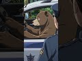 When the Suspect is Literally a Bear 🐻😂 #shortsanime #funnyanime #shorts