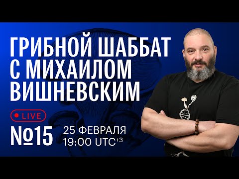 Грибной шаббат с Михаилом Вишневским №15. Просто поболтаем