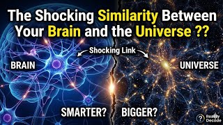 The Shocking Similarity Between Your Brain and the Universe ??