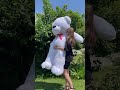 Ветлі 200 Білий