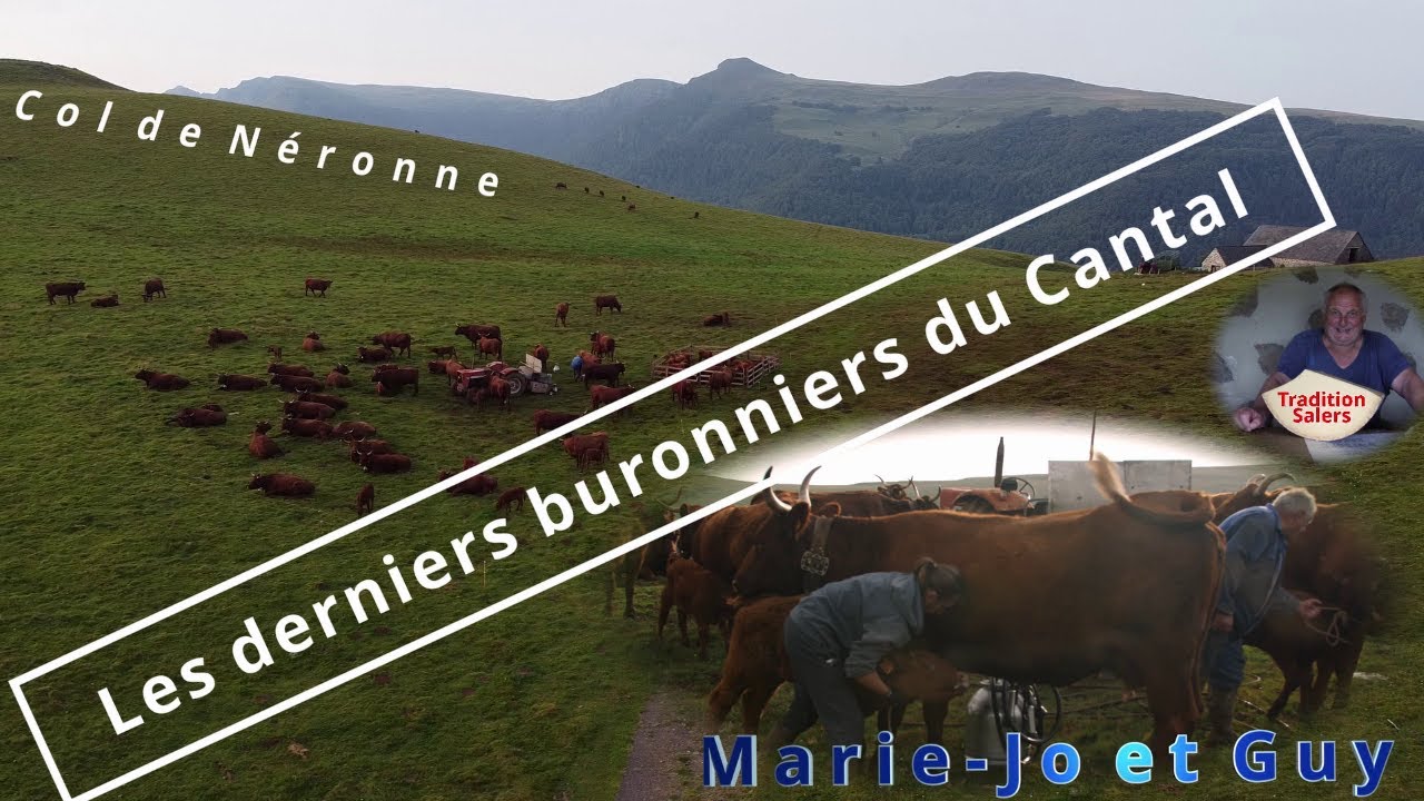 Marie-Jo et Guy Chambon, éleveurs SALERS et AOP TRADITION SALERS, les derniers buronniers du Cantal