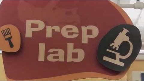 Preparing fossils: How fossils are removed from rock