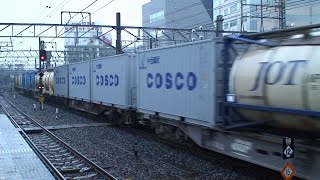 2007年1月の貨物列車【総武・京葉線】