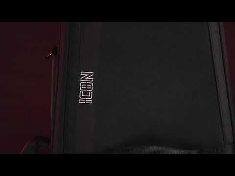 Video 3