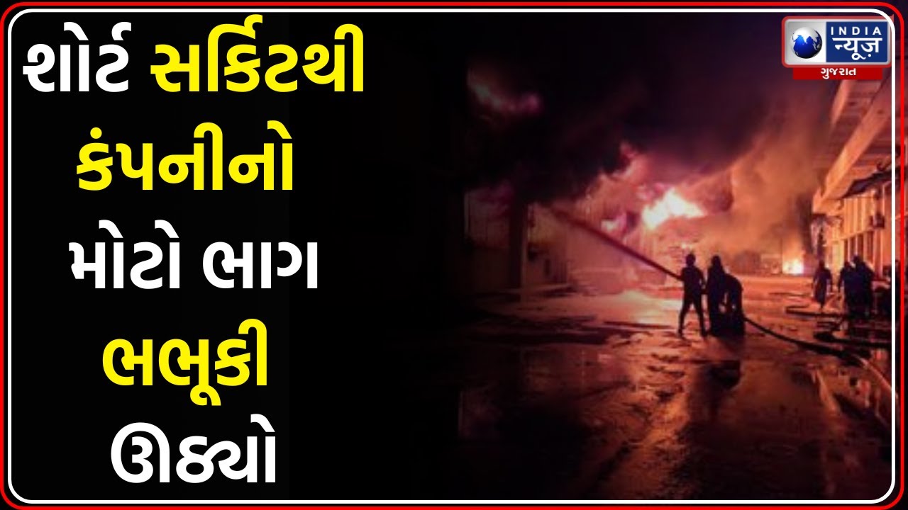 દાદરા Liza Industriesમાં ભીષણ આગ | Liza Industries Fire