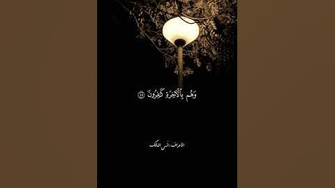 سورة الأعراف من الآية 44 - 46 .. القارئ أنس المالك