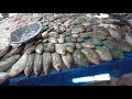 Рыбный рынок Хургады. Египет