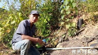 今天我要试验一下,砍草用割草机快还是砍刀快