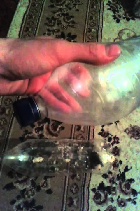 Как поймать мышку!