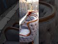 مبل مارج تولید کننده انواع مبل راحتی و مینیمال09352562873