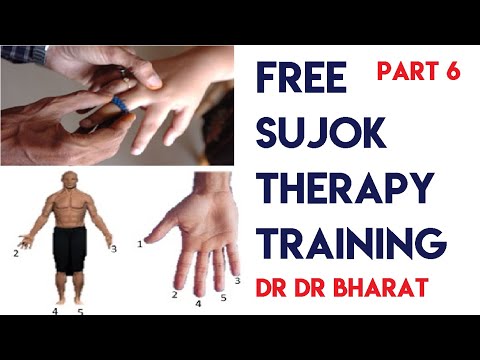 Sujok Colour Therapy in Jaipur