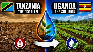 Can Regenerative Farming Make Farmers Richer?