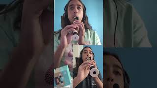 Subwoofer Lullaby (Minecraft) - C418 | Recorder Cover (Soprano + Contralto)  #music #videogamemusic