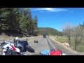 Dos Motociclistas se Accidentan al Evitar a unos Caballos Salvajes