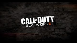 Black Ops 2 Exclusive Mods by Evil Controllers