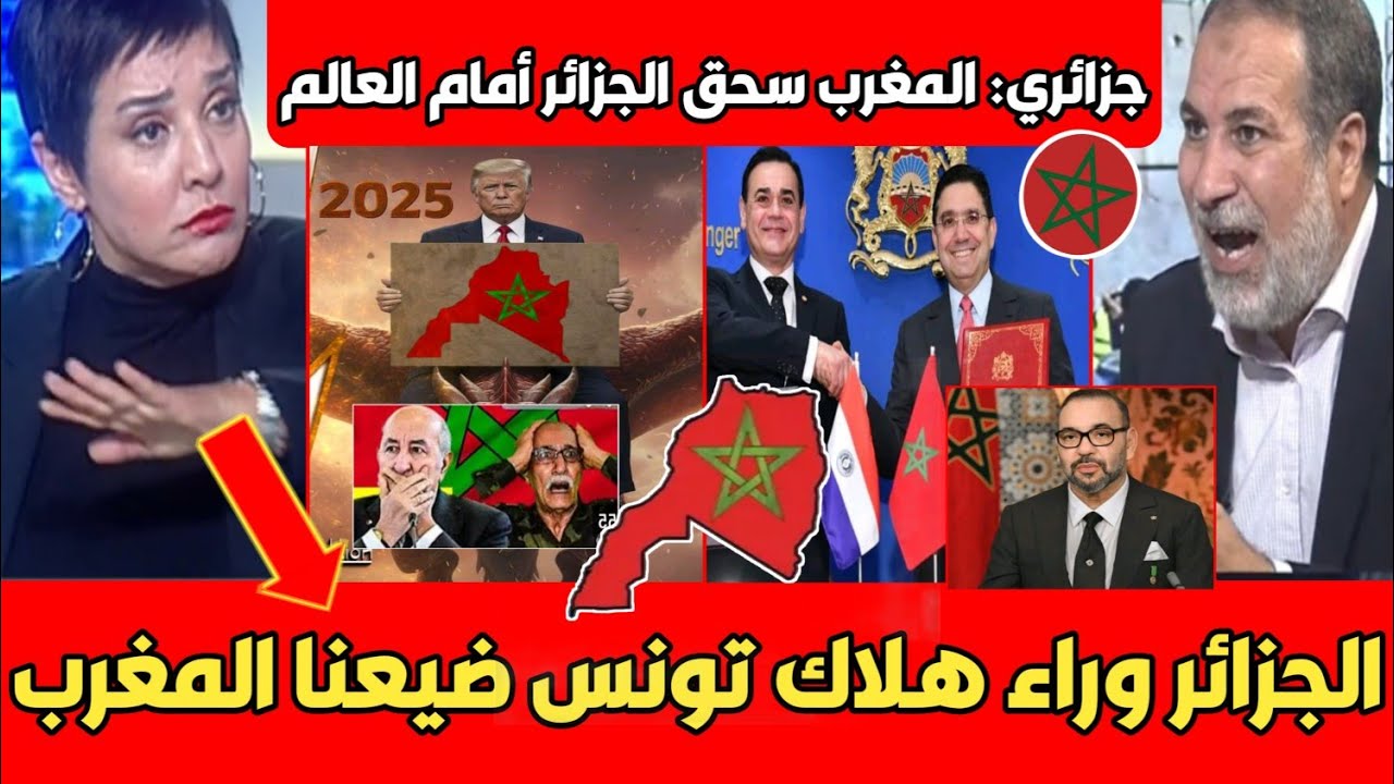 شاهد حسرة إعلامية تونسية بعد اعتراف محلل جزائري بخسارة قضية الصحراء المغربية حلم المحيط لأطلسي انتهى