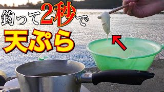 【ウマすぎ?!】魚を釣って2秒で天ぷら作って食べてみた！