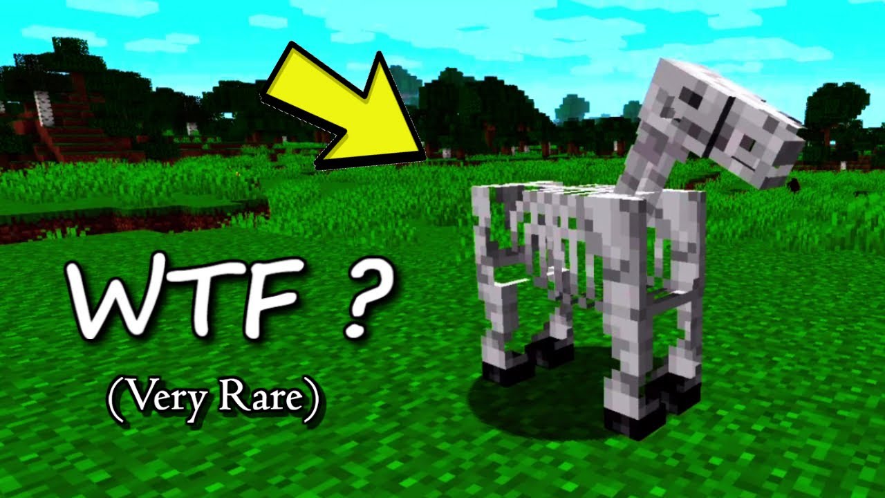 I Saw This Rare Skeleton Horse In Minecraft (Very Rare) 😱 - YouTube