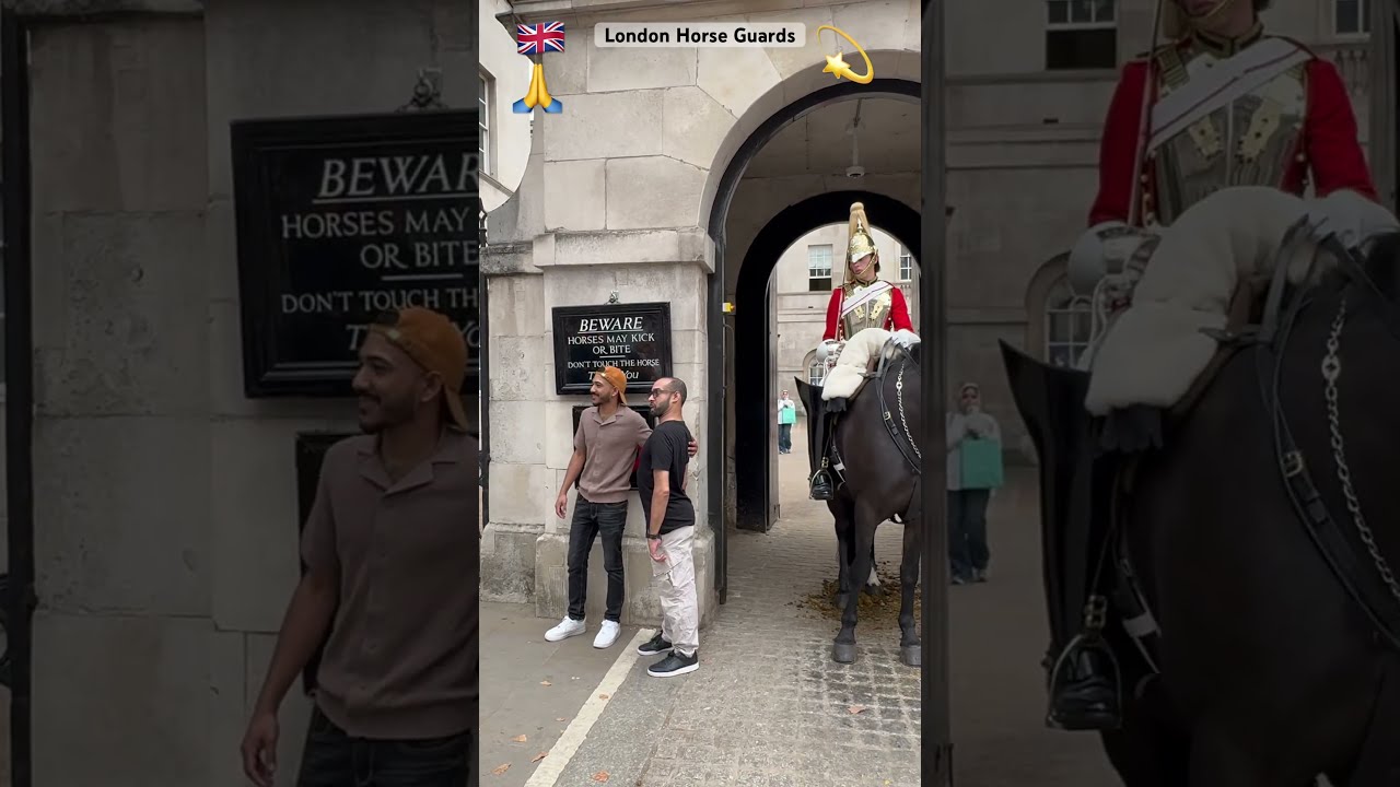  Special Needs Guests Enjoy A Visit To The King S Horse Guards