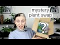 MYSTERY PLANT SWAP with YOUR.BABYLON