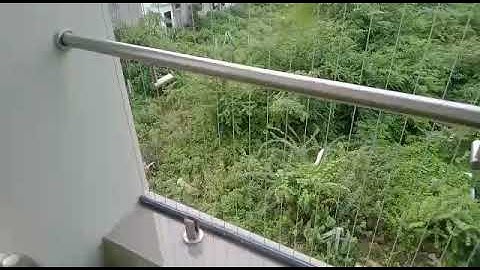 Stainless Steel Bird Spikes in Ahmedabad | Birds Control Service in Ahmedabad | +9157646066