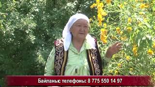 картинка: Ит, құс, жыланның тілін білетін   болжампаз Жәмилә апа +7775 550 14 97