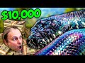 Brian barczyks 10000 snake  crittacam