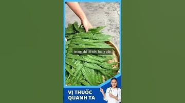 Cây Dương xỉ có tác dụng gì  ? #sốngkhỏe