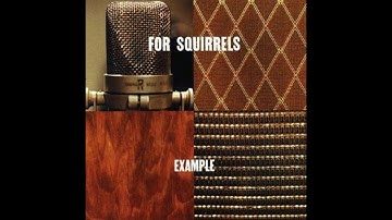 For Squirrels - 8 02 PM