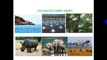 GDCD7 TUẦN 22 TIẾT 22 BÀI 14: BẢO VỆ MÔI TRƯỜNG VÀ TÀI NGUYÊN THIÊN NHIÊN